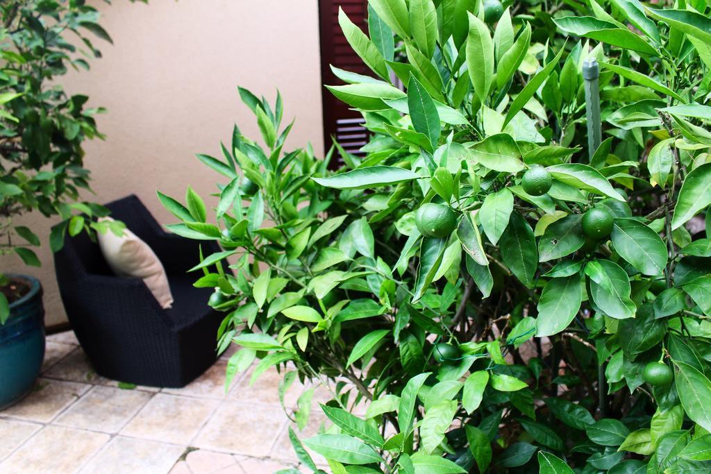 Guest house Luxury Orh